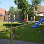 Seestern Am Naturstrand