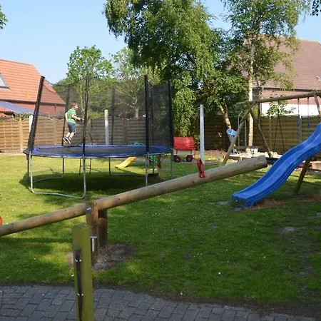 Seestern Am Naturstrand