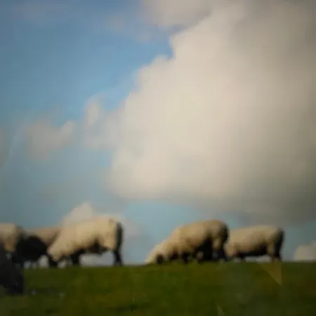 公寓 Seestern Am Naturstrand *