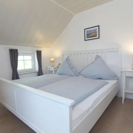 Seestern Am Naturstrand *