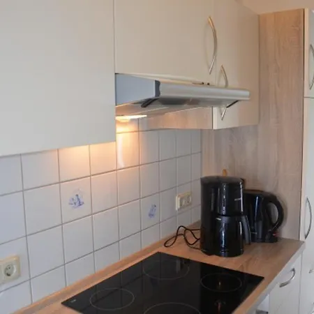 Seestern Am Naturstrand *