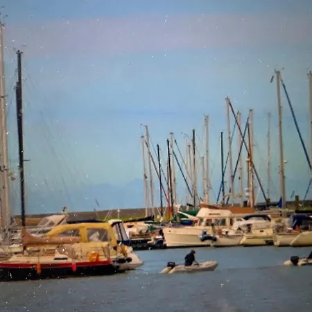 Seestern Am Naturstrand *