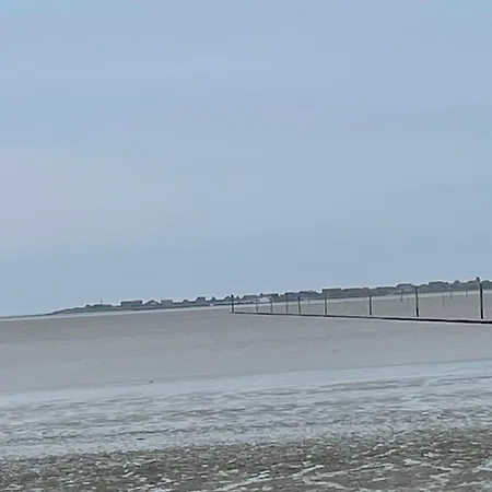 Seestern Am Naturstrand * Hagermarsch