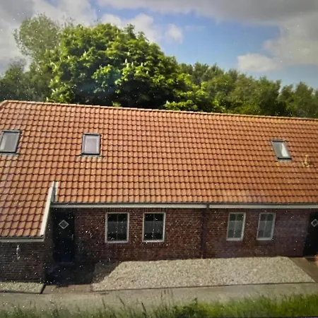 Seestern Am Naturstrand Hagermarsch