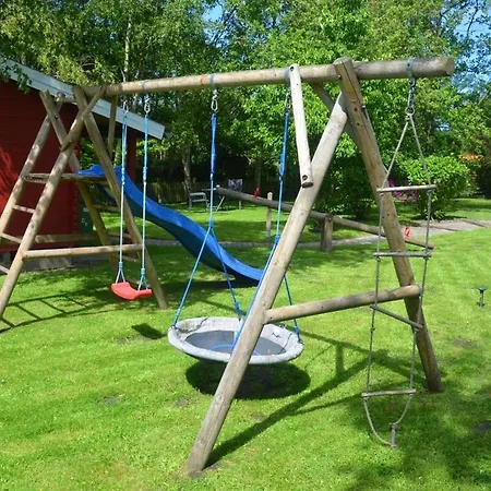 Seestern Am Naturstrand