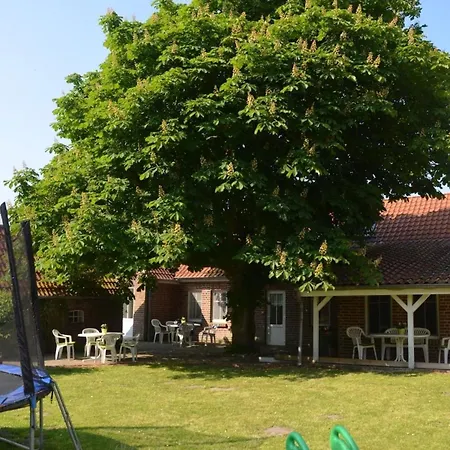 Seestern Am Naturstrand