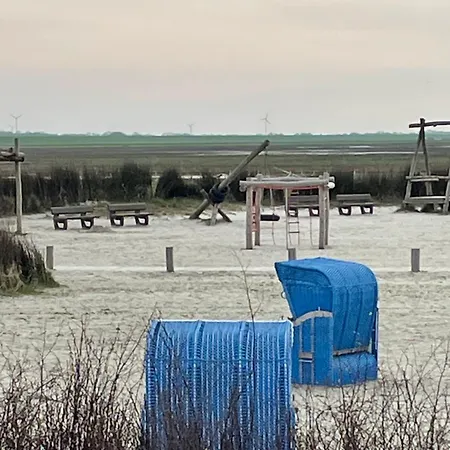 Seestern Am Naturstrand Appartement *