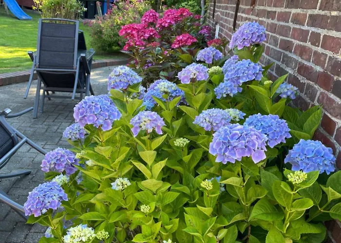 公寓 Seestern Am Naturstrand