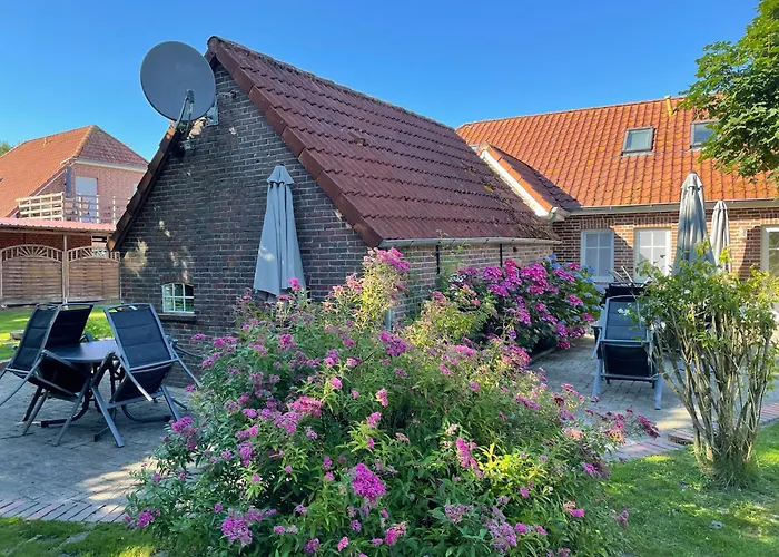 Seestern Am Naturstrand