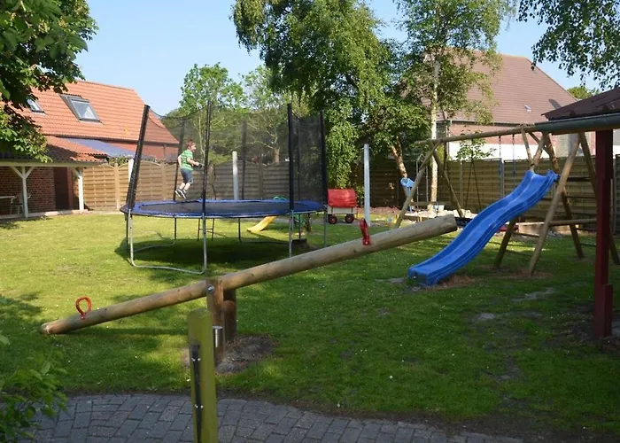 Seestern Am Naturstrand