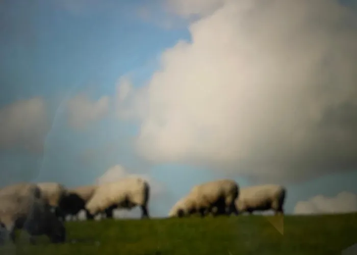 公寓 Seestern Am Naturstrand *