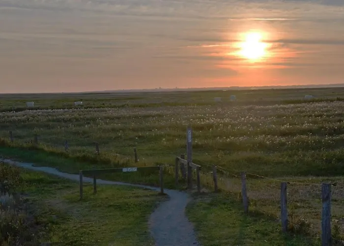 Seestern Am Naturstrand 公寓 Hagermarsch