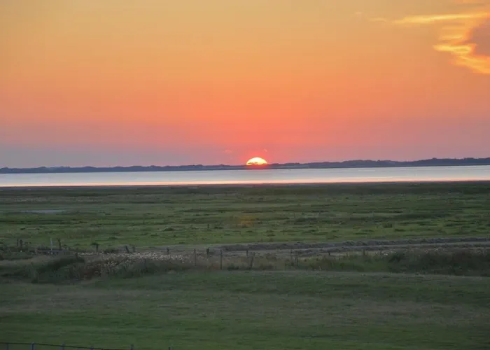 公寓 Seestern Am Naturstrand Hagermarsch