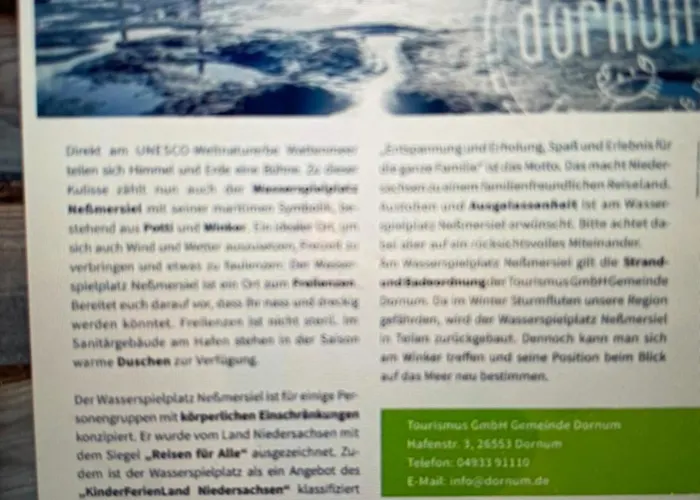 Seestern Am Naturstrand * Hagermarsch