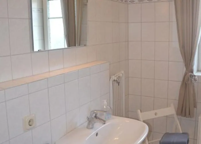 Seestern Am Naturstrand *