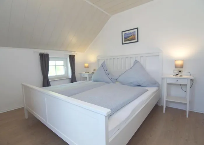 Seestern Am Naturstrand *