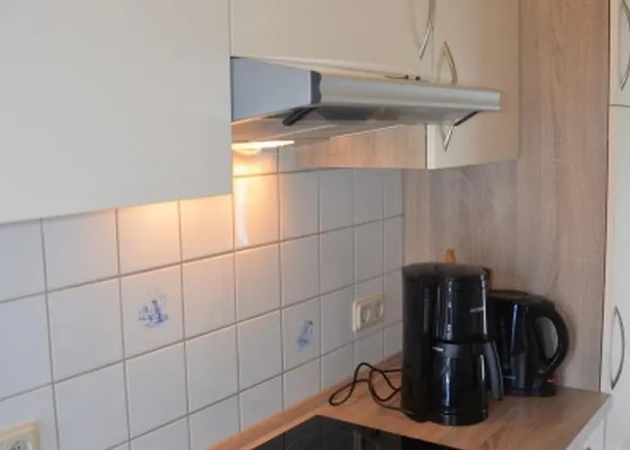 Seestern Am Naturstrand *