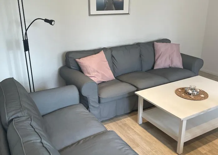 Seestern Am Naturstrand