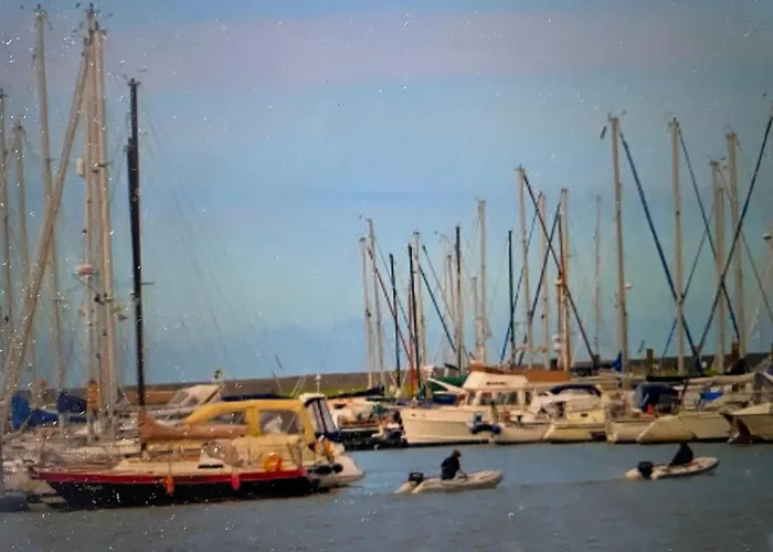 Seestern Am Naturstrand *