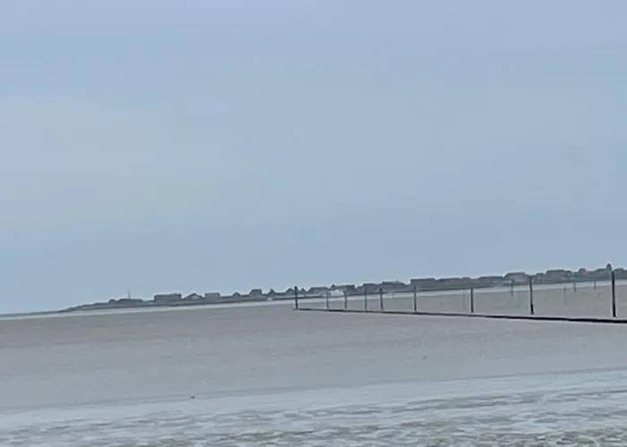 Seestern Am Naturstrand * Hagermarsch