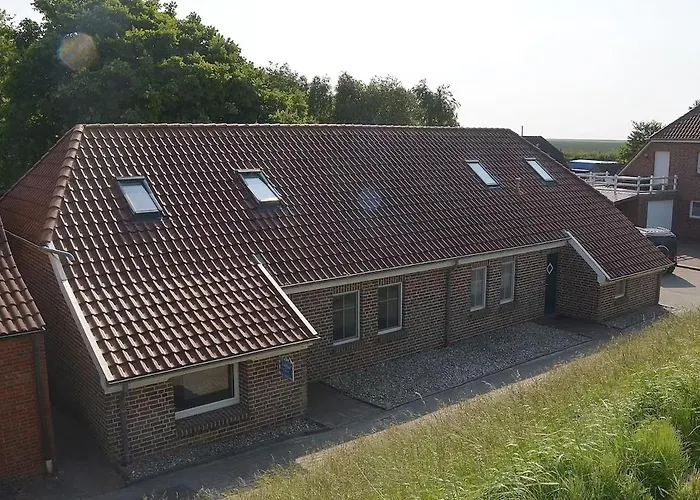 Seestern Am Naturstrand *