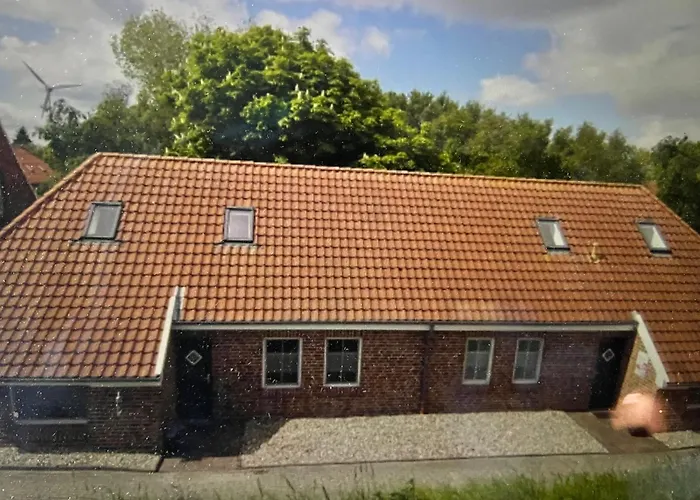 Seestern Am Naturstrand Hagermarsch