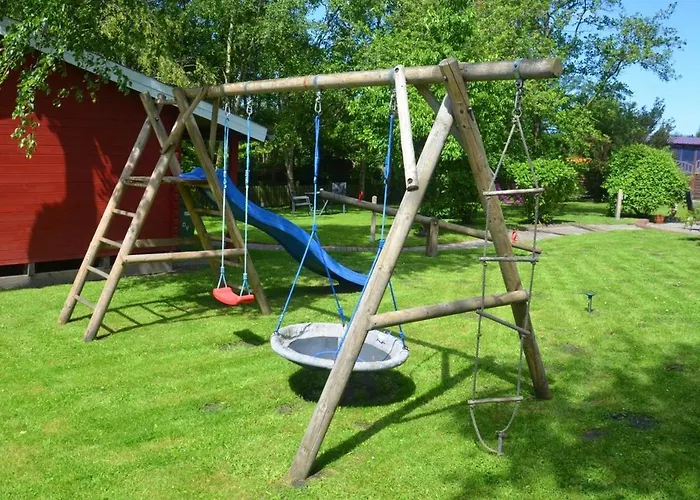 Seestern Am Naturstrand