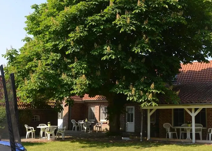 Seestern Am Naturstrand