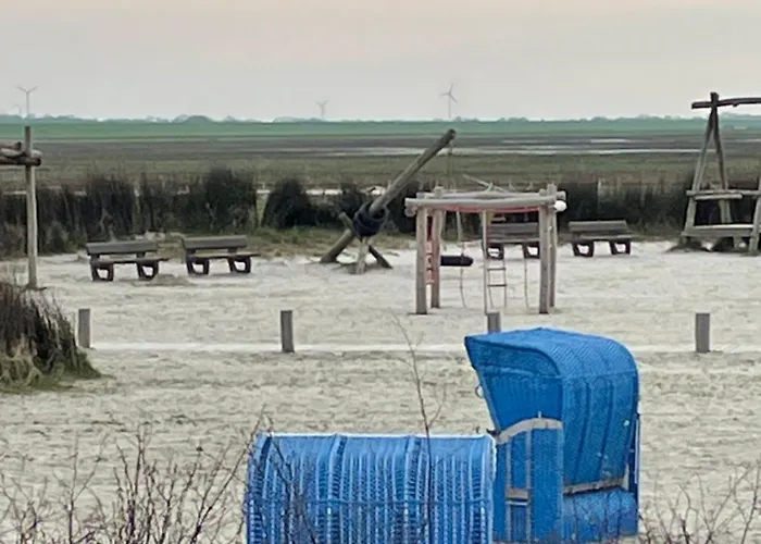 Seestern Am Naturstrand 公寓 *